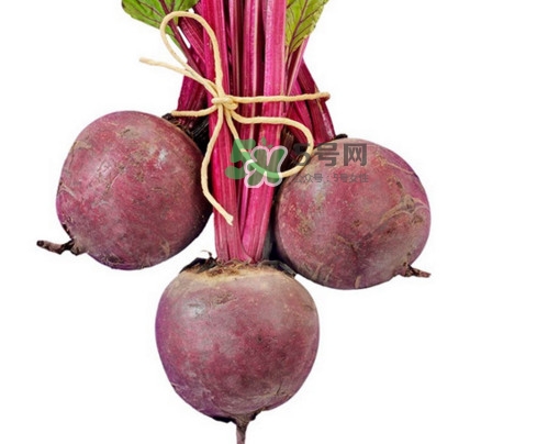 甜菜根有哪些功效？甜菜根什么人不能吃