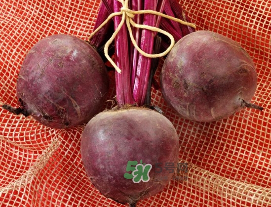 甜菜根是什么菜？甜菜根什么季節(jié)收獲