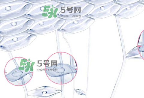 嬌韻詩青春賦活兩件套裝多少錢？嬌韻詩全新青春賦活系列怎么樣？