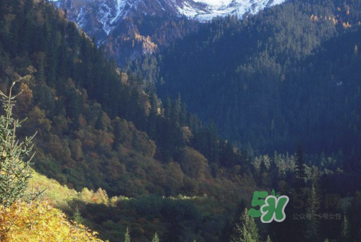 8月份去九寨溝人多嗎？8月份去九寨溝熱嗎？