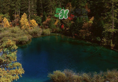 8月份去九寨溝人多嗎？8月份去九寨溝熱嗎？