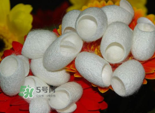 蠶繭多少錢一斤2017？2017年蠶繭價格是多少？