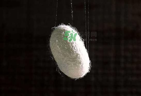 蠶繭多少錢一斤2017？2017年蠶繭價格是多少？