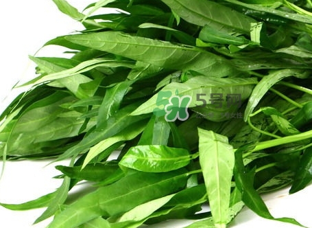 通心菜葉子可以吃嗎_通心菜葉子怎么吃好 通心菜葉子可以吃嗎_通心菜葉子怎么吃好