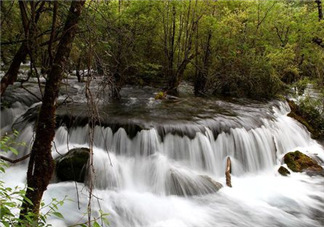 8月份去九寨溝人多嗎？8月份去九寨溝熱嗎？