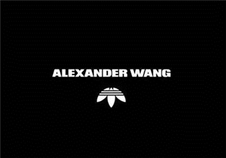 adidas originals by alexander wang聯(lián)名系列在哪買(mǎi)_怎么買(mǎi)？