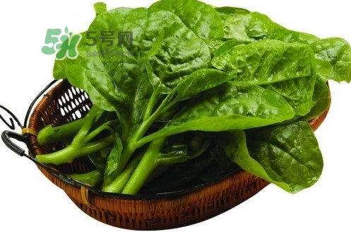 木耳菜怎么做好吃？木耳菜怎么吃