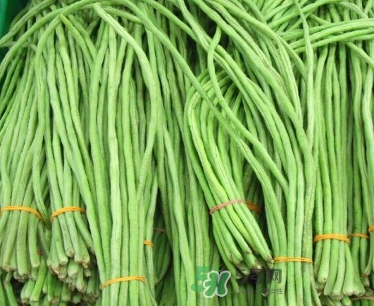 缸豆沒熟能吃嗎？酸缸豆怎么腌制的