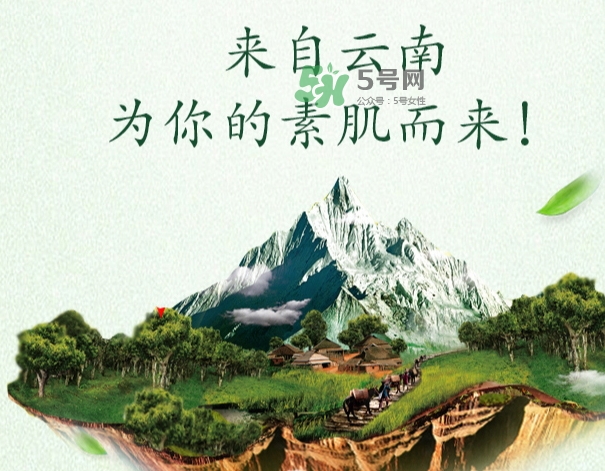 采之汲是什么牌子？采之汲是什么檔次？