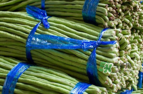 怎樣曬長缸豆？新鮮缸豆怎么保存