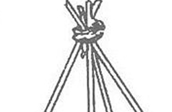 缸豆幾月份種？缸豆什么時(shí)候播種？