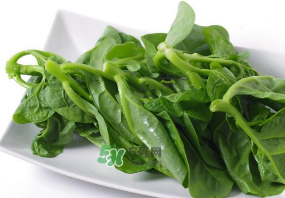 木耳菜怎么做好吃？木耳菜怎么吃