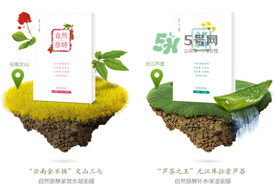 采之汲自然原酵面膜怎么用？采之汲自然原酵面膜使用心得