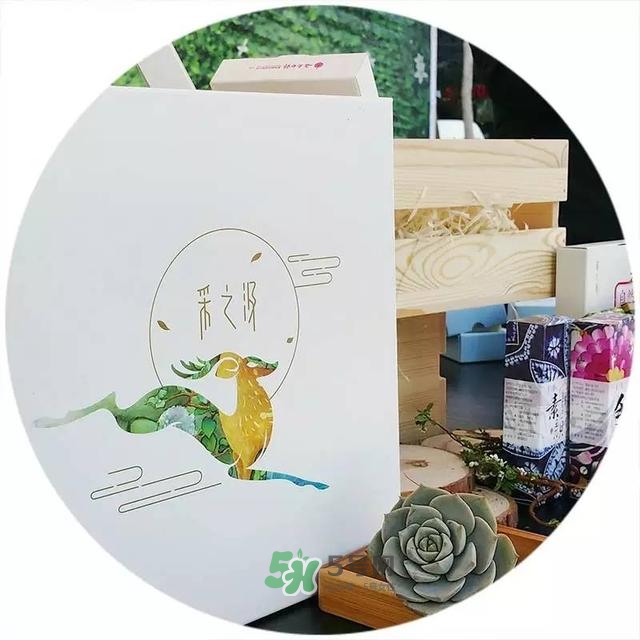 采之汲是什么牌子？采之汲是什么檔次？