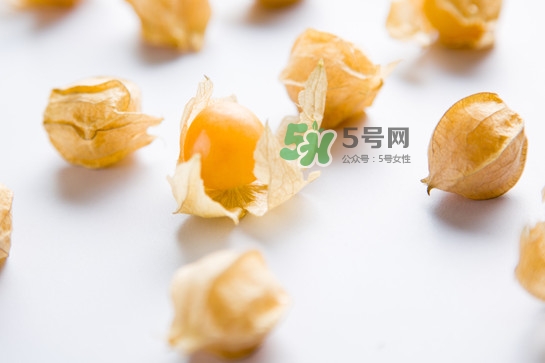 菇娘是寒性還是熱性？菇娘是哪里產(chǎn)的