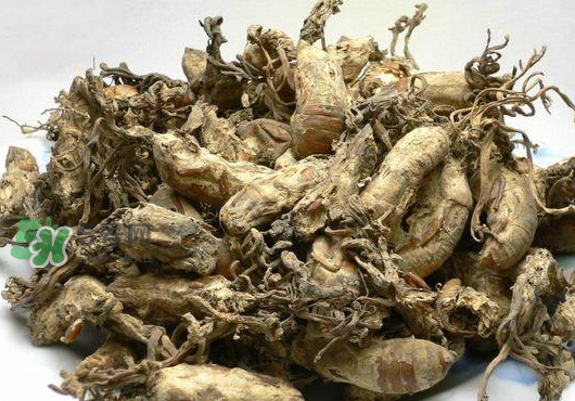 知了花多少錢一斤？野生知了花多少錢一斤2017？