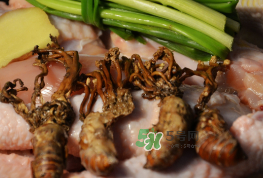 知了花多少錢一斤？野生知了花多少錢一斤2017？