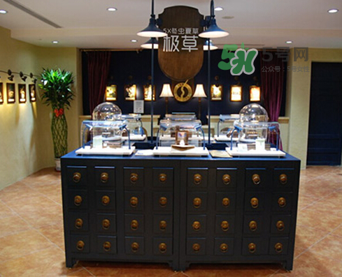 極草5x為什么不讓賣了？極草5x冬蟲夏草騙局