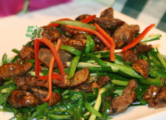 金蟬不能和什么一起吃？金蟬哪些人不能吃？