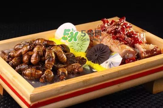 金蟬不能和什么一起吃？金蟬哪些人不能吃？