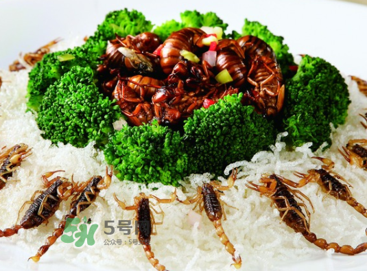 金蟬不能和什么一起吃？金蟬哪些人不能吃？