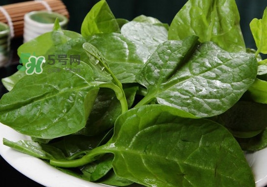 木耳菜可以生吃嗎？木耳菜可以涼拌嗎