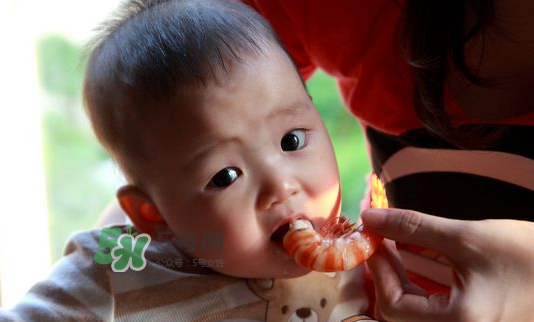 寶寶吃蝦不能和什么一起吃？寶寶吃蝦的注意事項(xiàng)