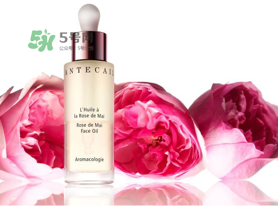 香緹卡是什么牌子？香緹卡屬于什么檔次？