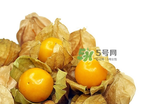 姑娘果怎么挑選？姑娘果產(chǎn)地在什么地方