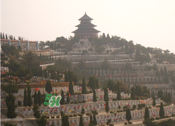 閏六月能上墳嗎？2017年閏月能遷墳嗎？