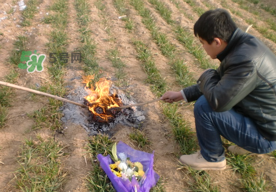 閏六月能上墳嗎？2017年閏月能遷墳嗎？