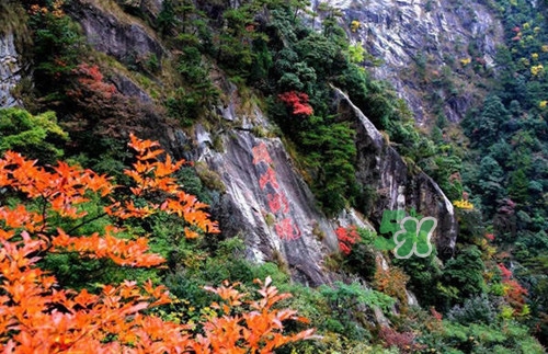 9月份去浙江穿什么？九月份去浙江穿什么衣服