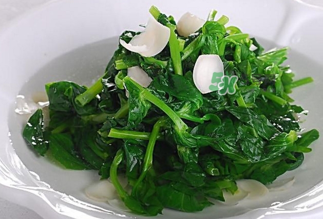 木耳菜是什么菜？木耳菜對(duì)人有哪些好處？