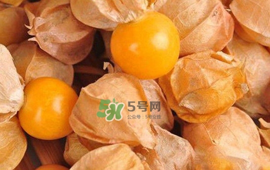 姑娘果怎么挑選？姑娘果產(chǎn)地在什么地方