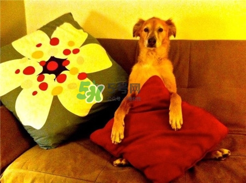 男人在公眾場合勃起如何化解尷尬？