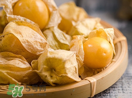 姑娘果可以直接吃嗎？姑娘果多吃有什么害處