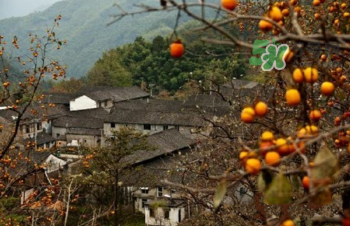 9月份去浙江穿什么？九月份去浙江穿什么衣服