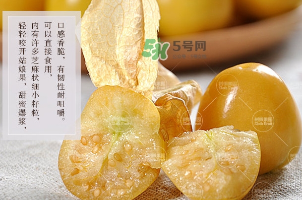 菇娘是寒性還是熱性？菇娘是哪里產(chǎn)的