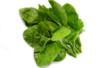 木耳菜是什么季節(jié)的菜？木耳和木耳菜有區(qū)別嗎