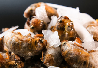 知了殼能能吃嗎？知了殼怎么吃？