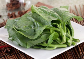 木耳菜和什么食物相克？木耳菜不能和什么一起吃