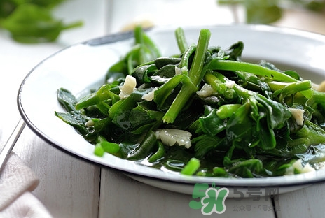 木耳菜可以生吃嗎？木耳菜可以涼拌嗎