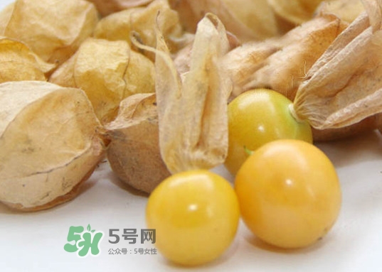 黃菇娘幾月種植？黃菇娘的種植注意事項