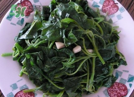 野莧菜有毒嗎？野莧菜怎么吃