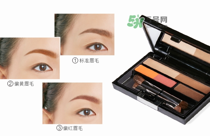 ipsa五色眉粉怎么用？ipsa茵芙莎五色眉粉使用方法