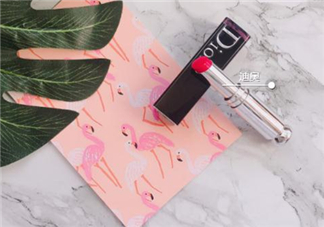 dior740和744哪個好看？迪奧740和744試色對比