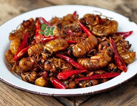 吃金蟬過(guò)敏怎么辦？吃金蟬為什么會(huì)過(guò)敏？