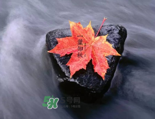 2017早立秋還是晚立秋？早立秋和晚立秋的區(qū)別