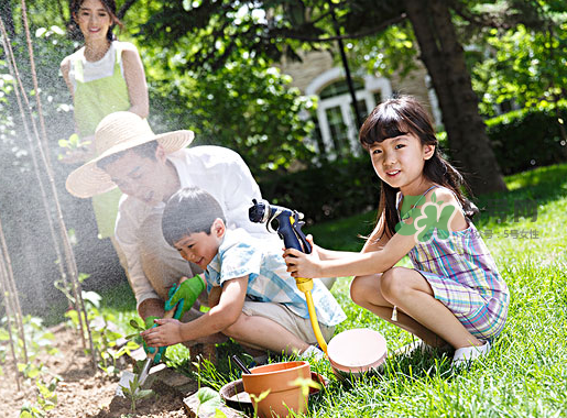 立秋可以種什么菜？立秋后可以種什么菜？