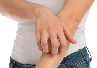 吃金蟬過敏怎么辦？吃金蟬為什么會過敏？